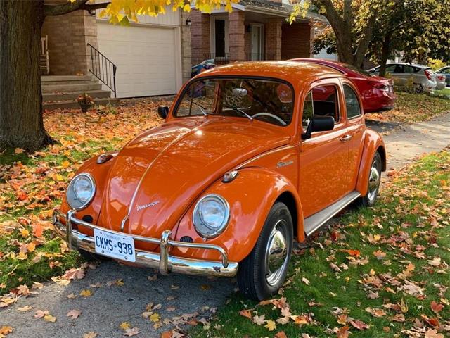 1964 Volkswagen Beetle (CC-1622804) for sale in Elgin, Ontario